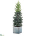 Silk Plants Direct Snowed Pine Tree - Green White - Pack of 2