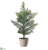 Pine Tree - Green Gray - Pack of 2