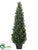 Cone Pine Topiary - Green - Pack of 2