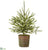 Pine Tree - Green - Pack of 2