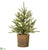 Pine Tree - Green - Pack of 2