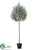 Spruce Tree Topiary - Green Gray - Pack of 1