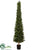 Pine Tree - Green - Pack of 1