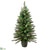 Imperial Pine Tree - Green - Pack of 1