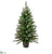 Imperial Pine Tree - Green - Pack of 1