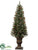 Pine Tree - Green - Pack of 1