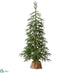 Silk Plants Direct Monterey Pine Tree - Green - Pack of 1