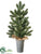 Pine Tree - Green - Pack of 4