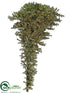 Silk Plants Direct Pine Tree - Green - Pack of 1