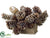 Sugar Pine Cone Arrangement - - Pack of 1
