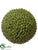 Silk Plants Direct Seed Orb - Green - Pack of 1