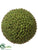 Silk Plants Direct Seed Orb - Green - Pack of 1