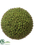 Silk Plants Direct Seed Orb - Green - Pack of 1