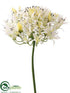 Silk Plants Direct Agapanthus Spray - White - Pack of 12