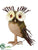 Moss Owl - Natural Green - Pack of 12