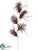 Feather Spray - Burgundy - Pack of 12
