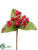 Berries Pick - Red - Pack of 24