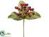 Silk Plants Direct Berries Pick - Red Burgundy - Pack of 24