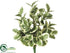 Silk Plants Direct Swedish Euphorbia Bush - Green White - Pack of 6