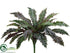Silk Plants Direct Bird's Nest Fern Bush - Green - Pack of 6