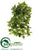 Grape Ivy Hanging Bush - Green - Pack of 4