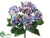 Hydrangea Bush - Blue Lavender - Pack of 6