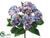 Hydrangea Bush - Blue Lavender - Pack of 6