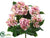 Hydrangea Bush - Pink Cream - Pack of 6