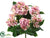 Hydrangea Bush - Pink Cream - Pack of 6