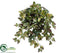 Silk Plants Direct Grape Ivy Hanging Bush - Green - Pack of 6