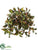 Fall Fruiting Ivy Hanging Bush - Orange Green - Pack of 6