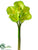 Calla Lily Bouquet - Green - Pack of 6