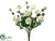 Ranunculus Bush - Cream Green - Pack of 6
