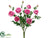 Ranunculus Bush - Pink - Pack of 6