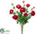 Ranunculus Bush - Red - Pack of 6