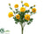 Ranunculus Bush - Yellow - Pack of 6