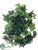 Leaf Sage Ivy Hanging Bush - Green - Pack of 6