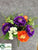 Ranunculus, Fern Bush - Purple Orange - Pack of 72