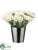 Gerbera Daisy - White - Pack of 12