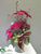 Arrangement - Red - Pack of 4