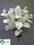 Magnolia Leaf Bush - White Silver - Pack of 6