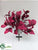 Magnolia Leaf Bush - Red Silver - Pack of 6