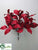 Magnolia Leaf Bush - Red Silver - Pack of 6