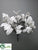 Magnolia Leaf Bush - White Silver - Pack of 6