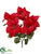 Poinsettia Bush - Red - Pack of 24
