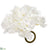 Hydrangea Napkin Ring - White - Pack of 6
