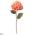Hydrangea Spray - Coral Green - Pack of 8
