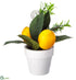 Silk Plants Direct Lemon with Place Card Holder - Yellow - Pack of 6