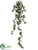 Sage Ivy Garland - Green - Pack of 6