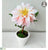 Dahlia - Pink Soft - Pack of 6